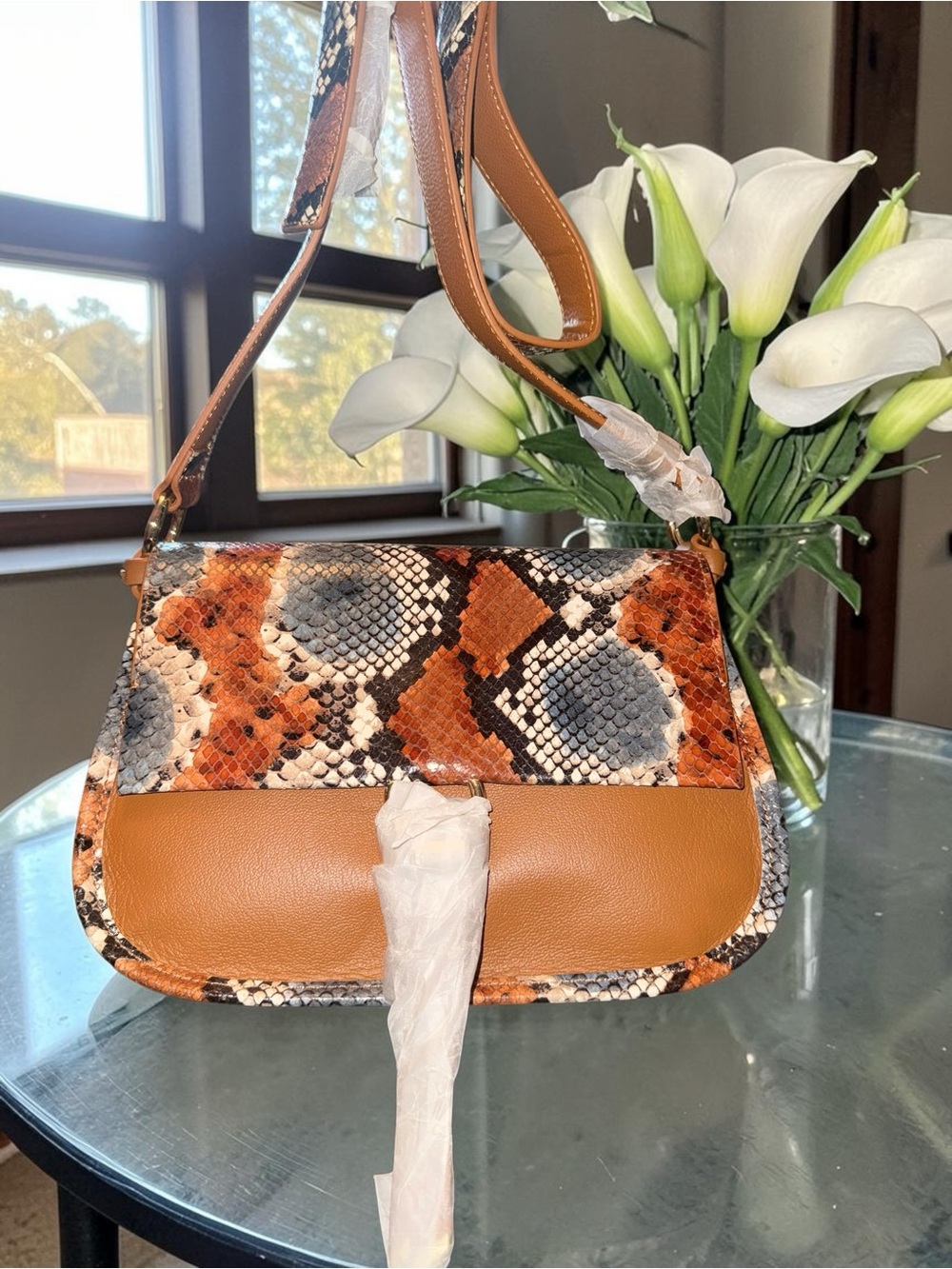 Ted Baker London "Hetty" Snake Print Crossbody Bag NWT